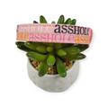 A$$hole on Sherbet Dog Collar (Medium)