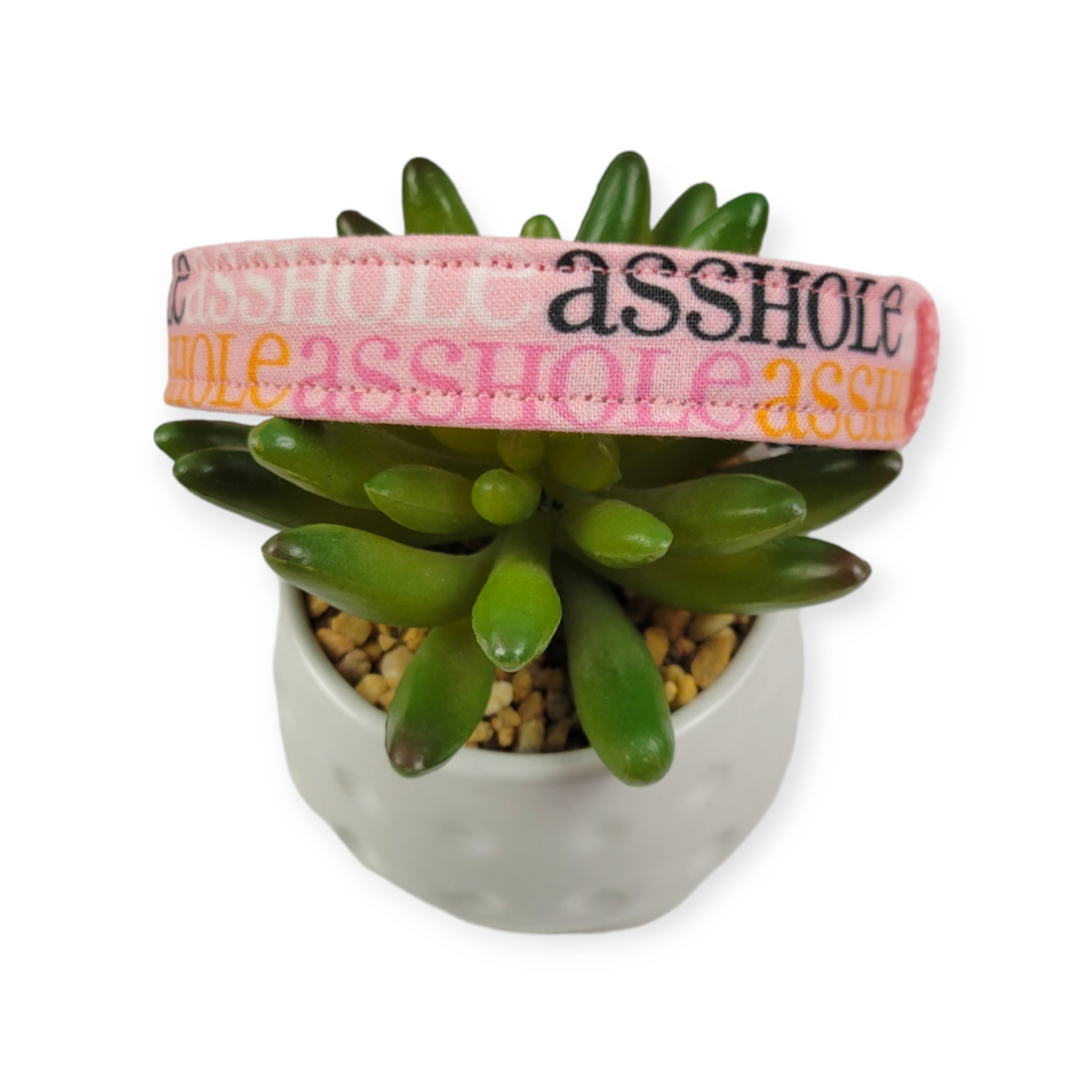 A$$hole on Sherbet Dog Collar (Medium)