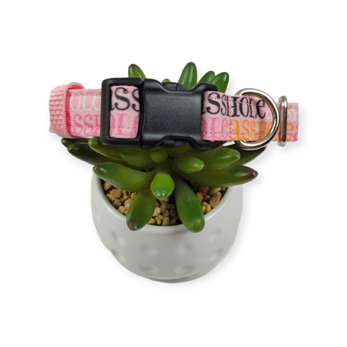 A$$hole on Sherbet Dog Collar (Medium)