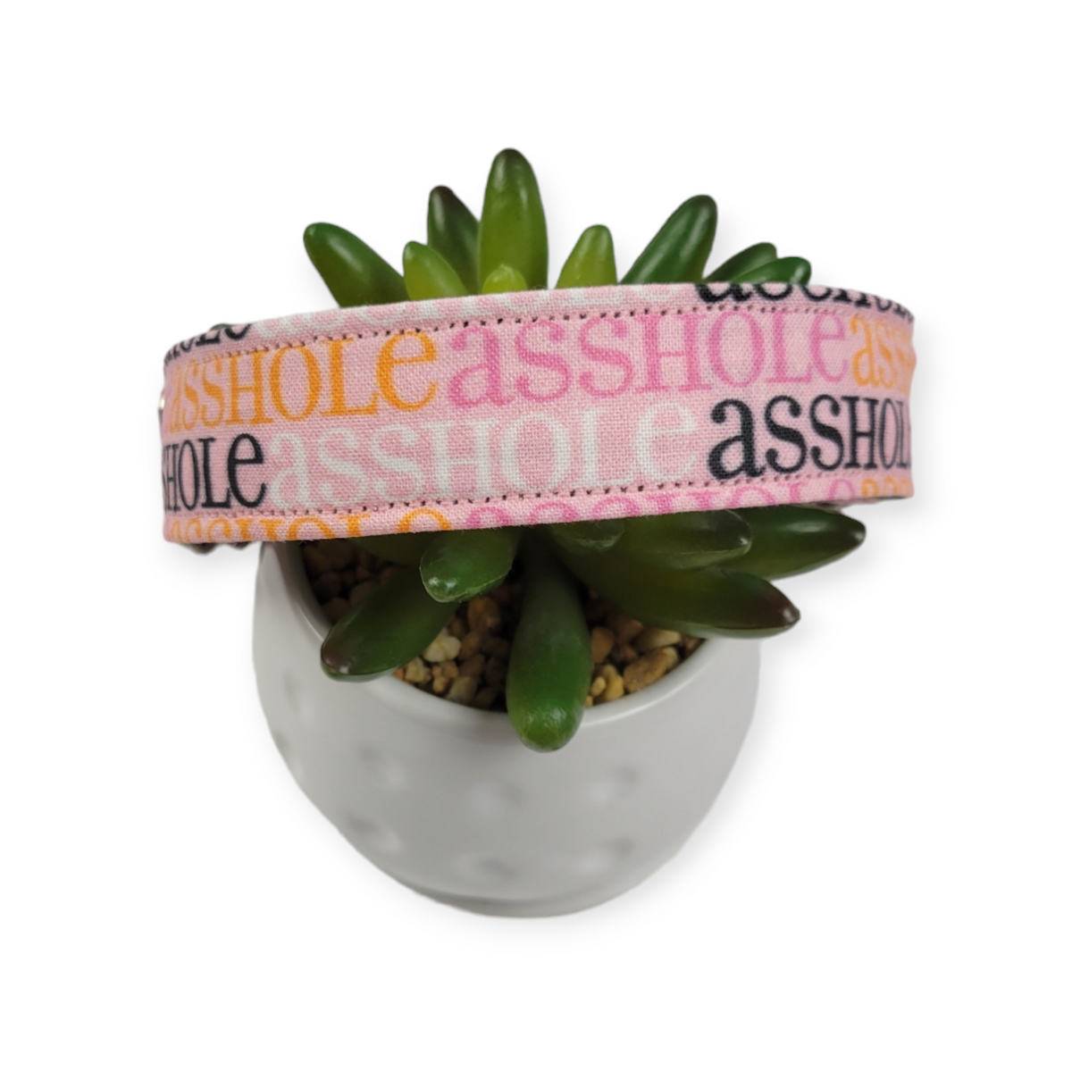 A$$hole on Sherbet Dog collar (Large)