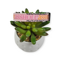 A$$hole on Sherbet Dog collar (Small)