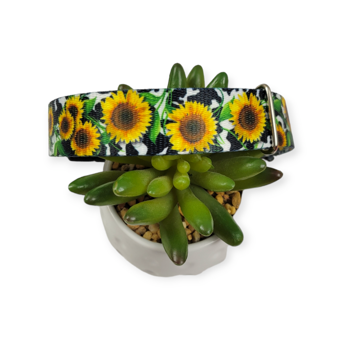 Dairy Fields Dog Collar (Large)