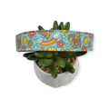 Groovy Fuck This Shit Dog collar (Large)