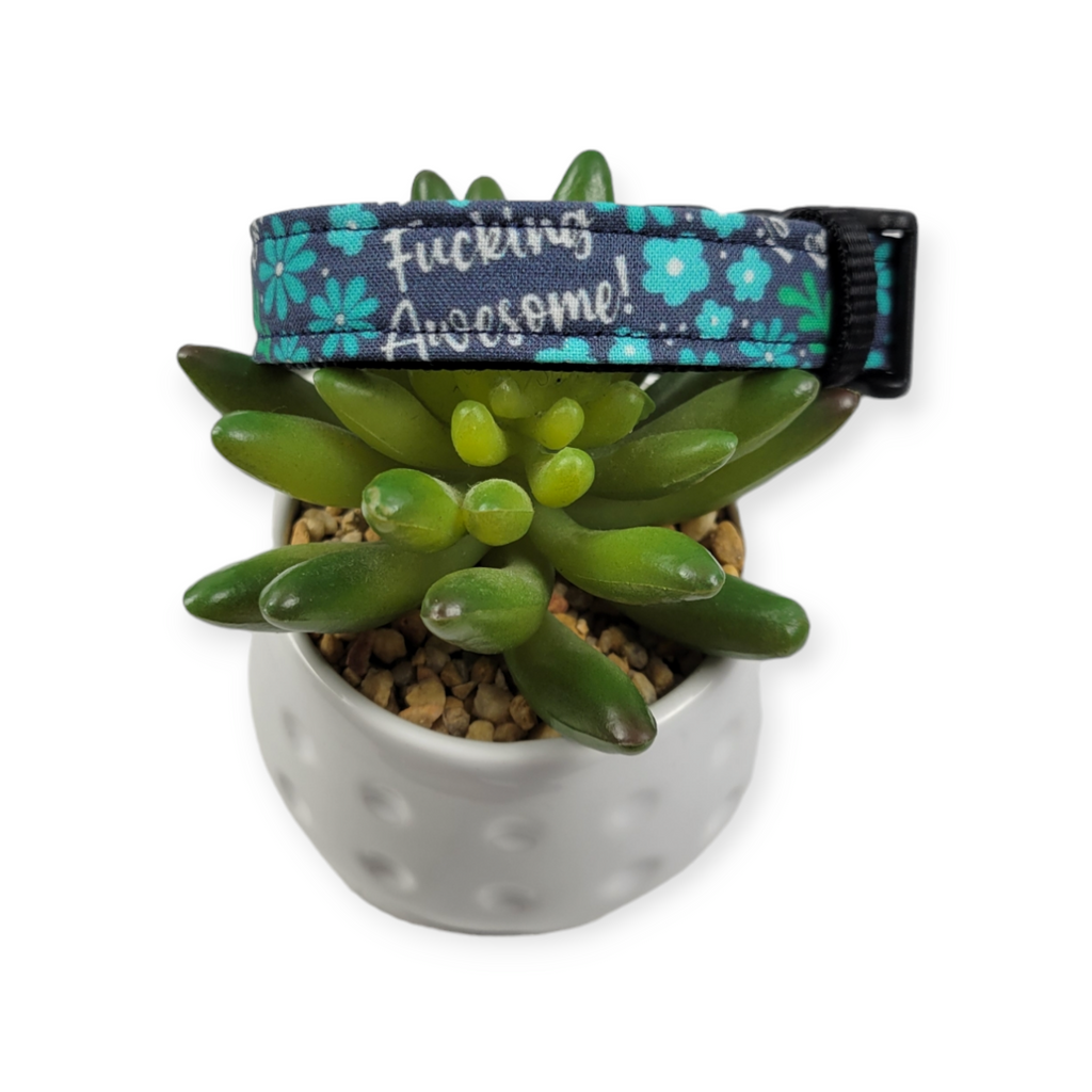Fucking Awesome Dog collar (Small, 3/4" wide)