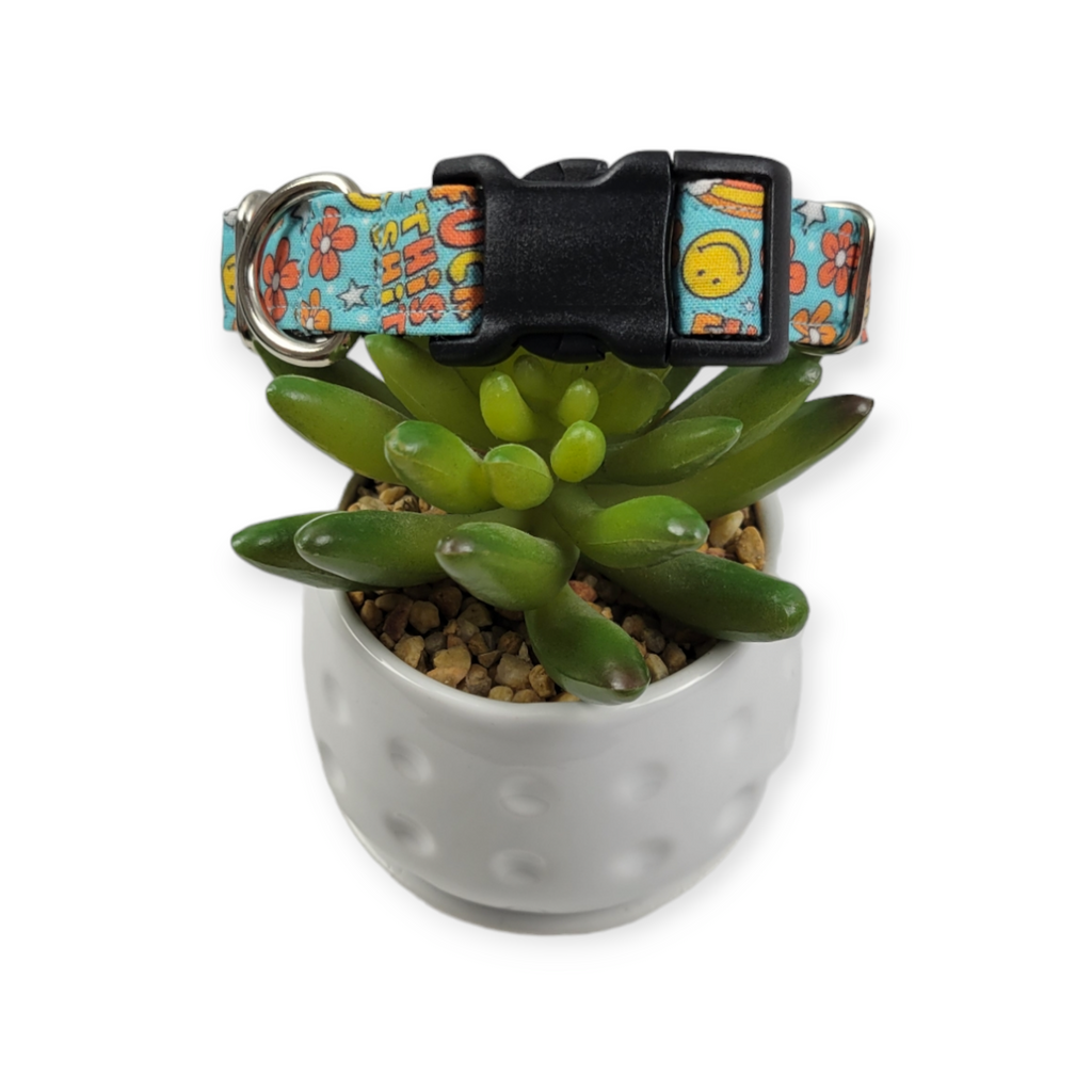 Groovy Fuck This Shit Dog collar (Small, 3/4" wide)