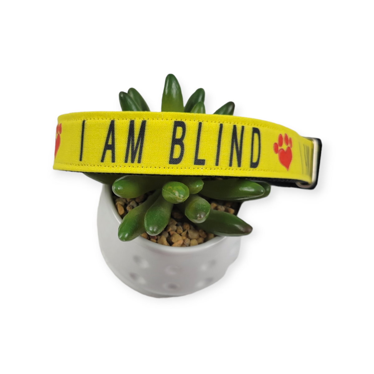 I Am Blind Dog Collar (Large)