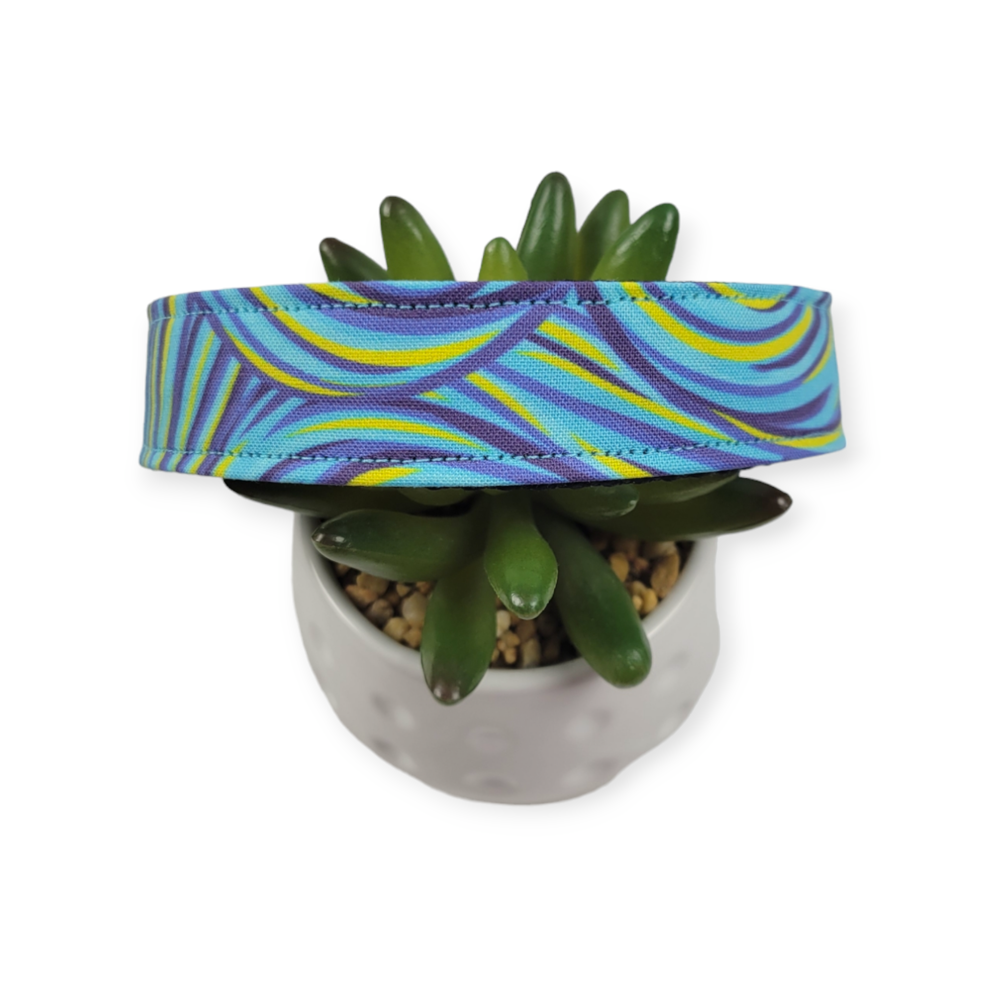 Based on Vincent Dog Collar (Large)