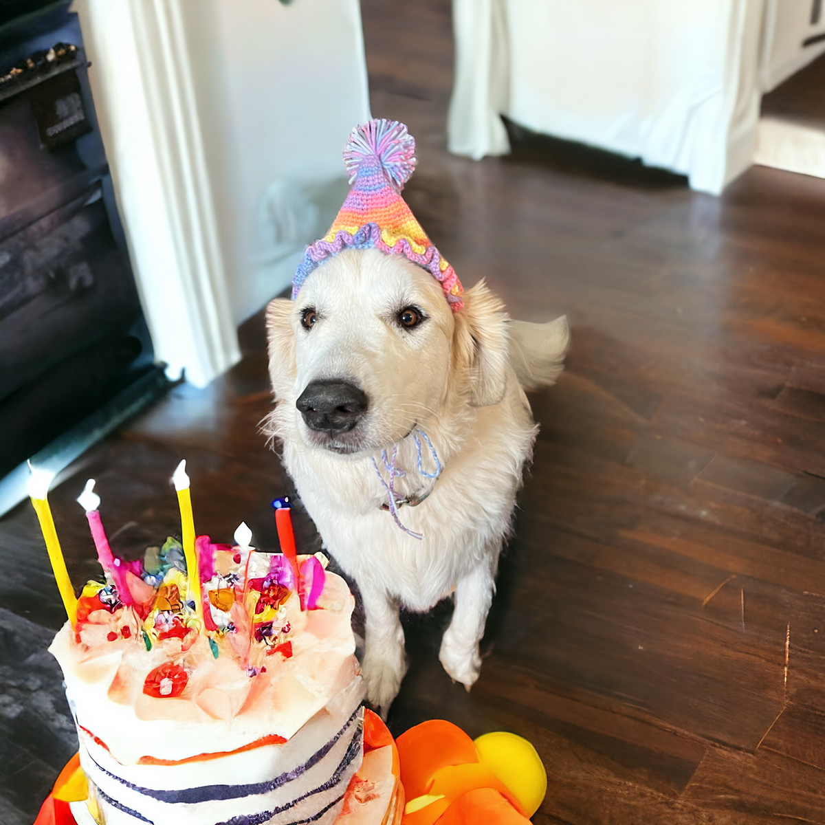 Crochet Birthday Hat - Spirit (5.5" diameter)