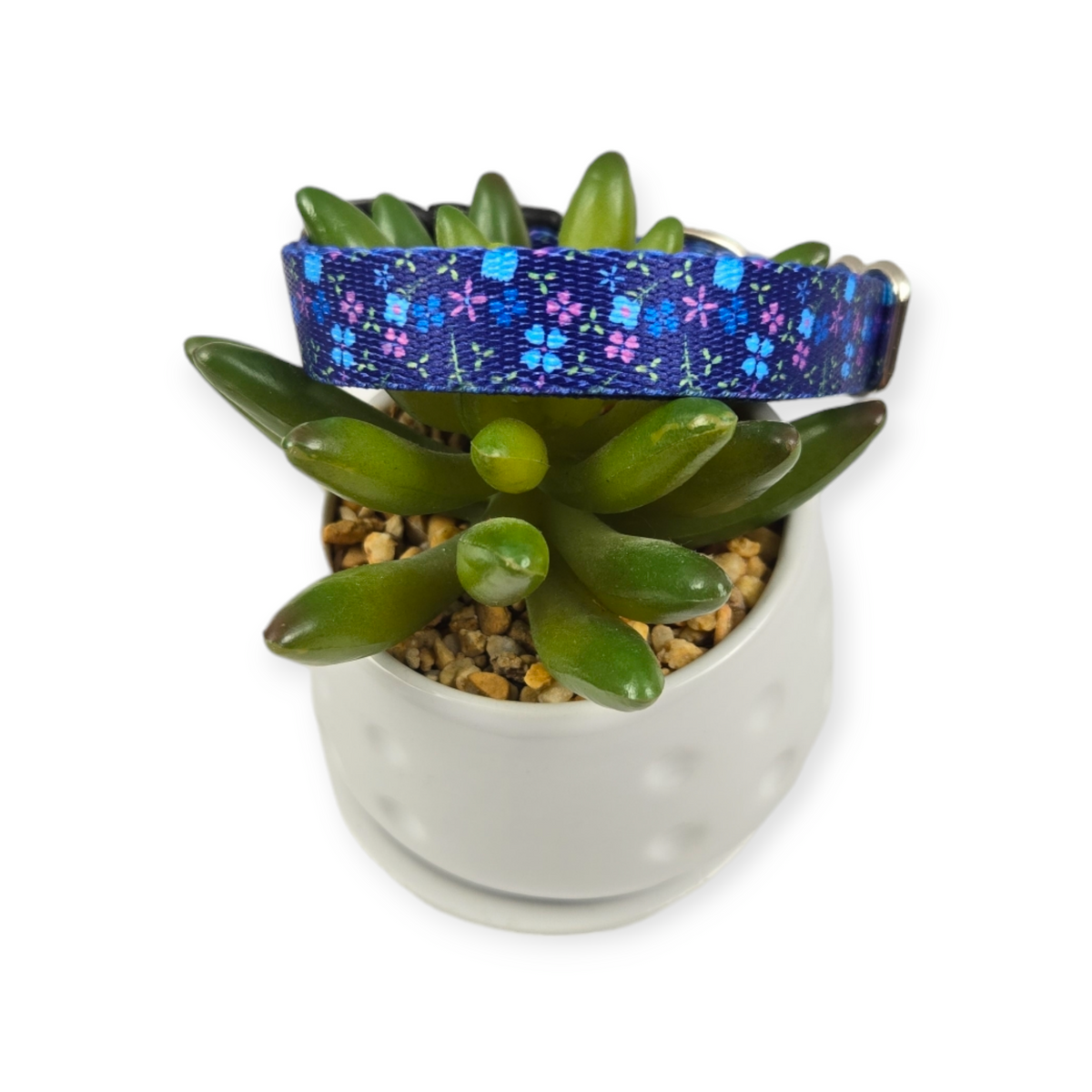 Blueberry Fields Dog Collar (XX-Small)