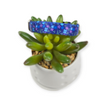 Blueberry Fields Kitty Collar (XX-Small)