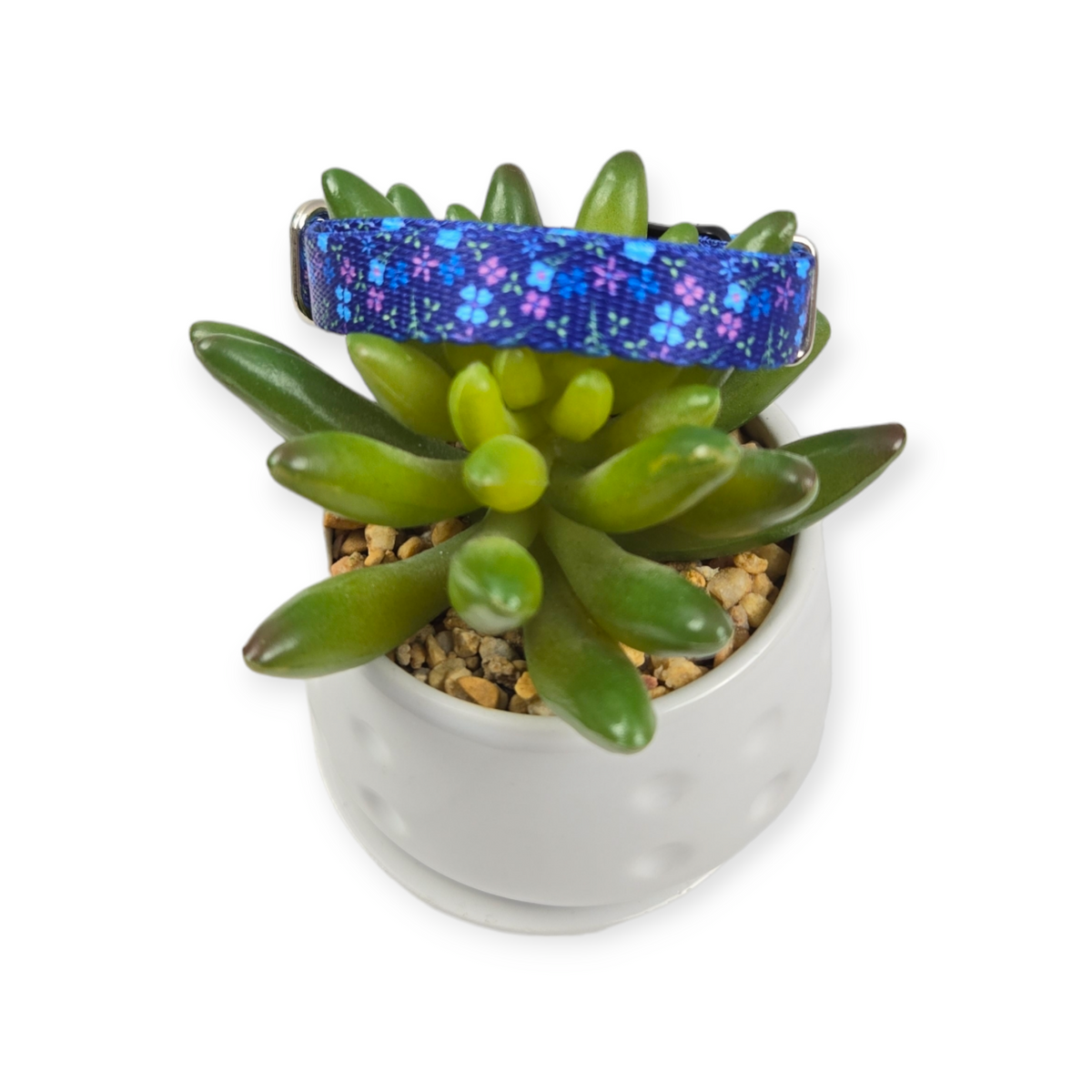 Blueberry Fields Kitty Collar (XX-Small)