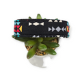 Spirit Trail Dog Collar (Large)
