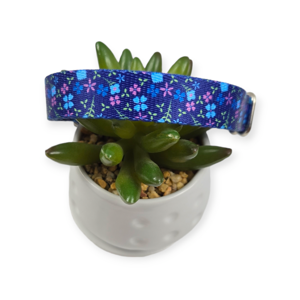 Blueberry Fields Dog Collar (Medium)