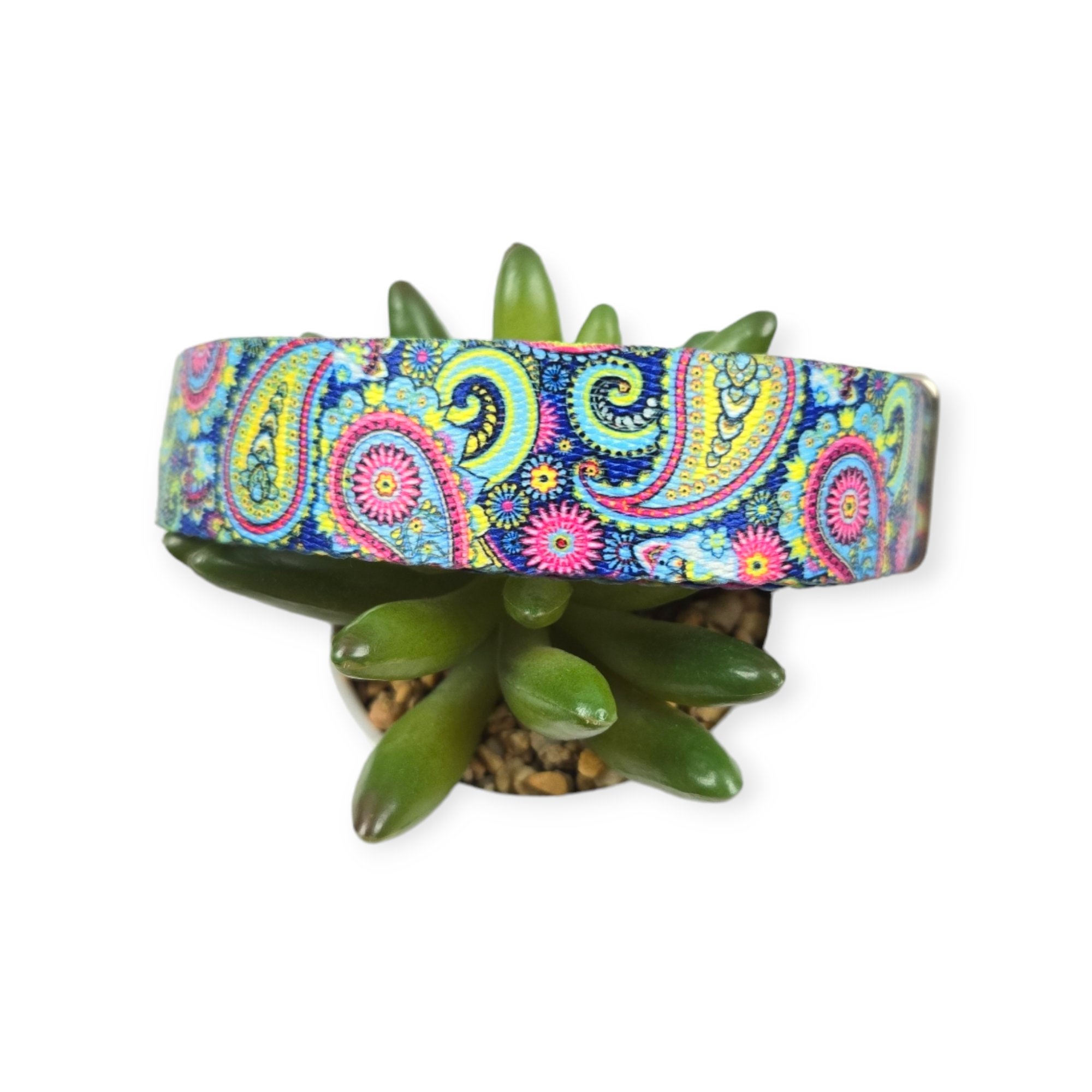 Bright Paisley Dog Collar (Large)