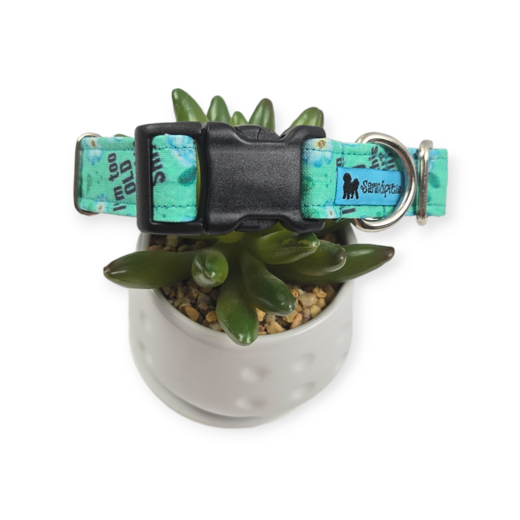 Too Old For This dog collar (Medium)