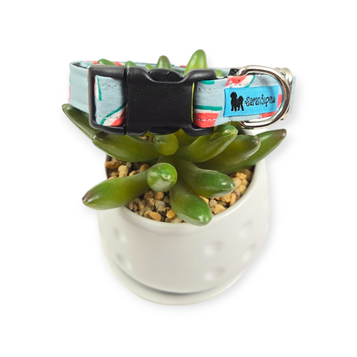 Watermelon on Light Blue Dog collar (Small)