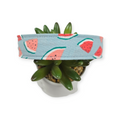 Watermelon on Light Blue Dog Collar (Large)