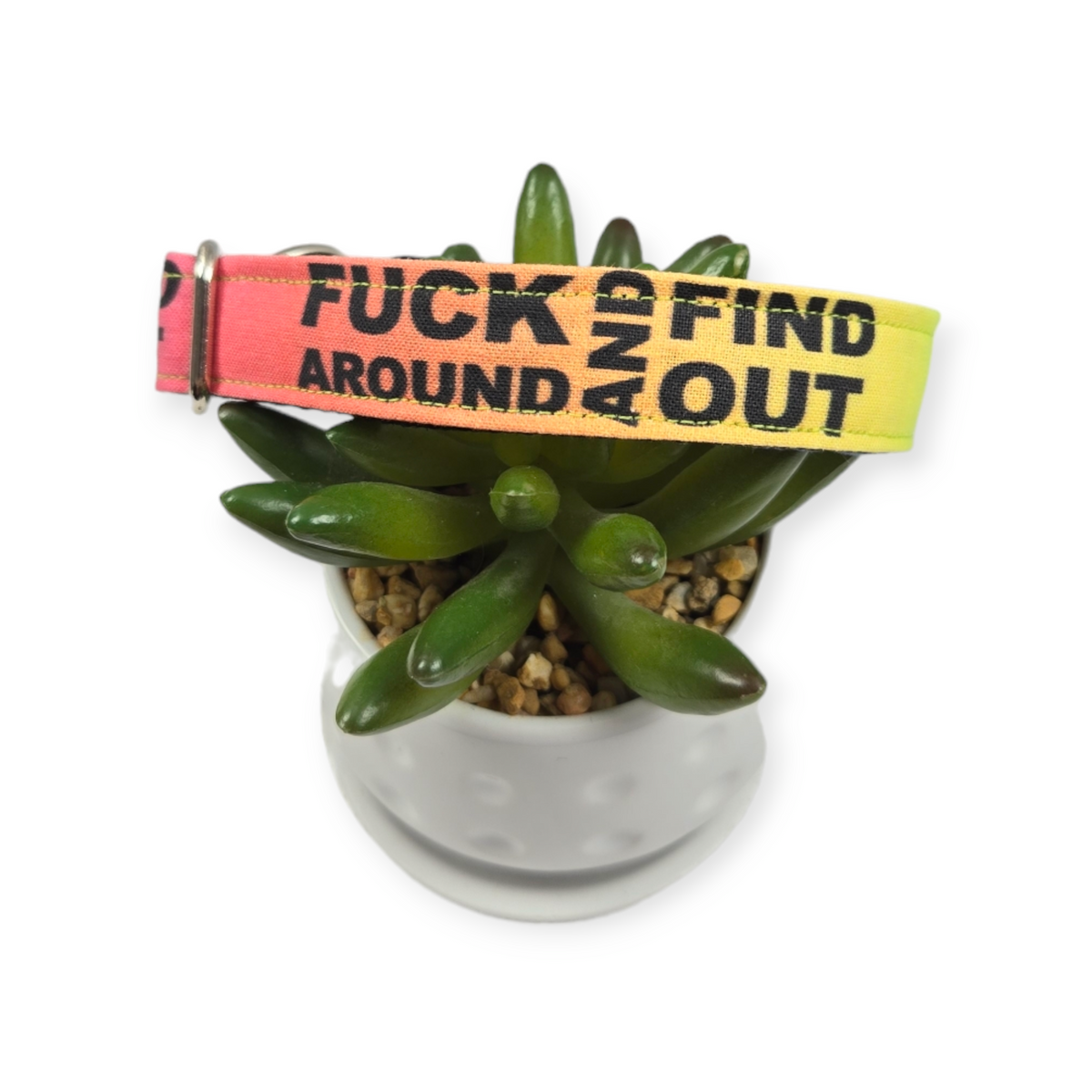 FAFO on Rainbow Dog Collar (Medium)