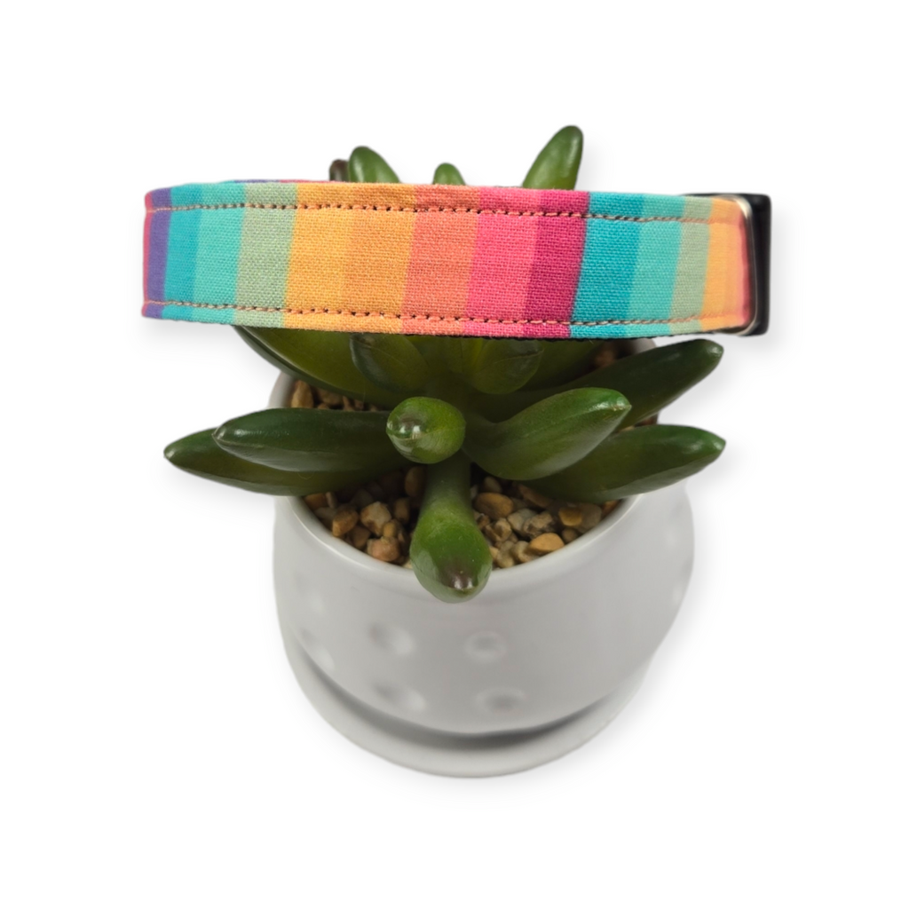 Retro Rainbow Stripes Dog Collar (Medium)