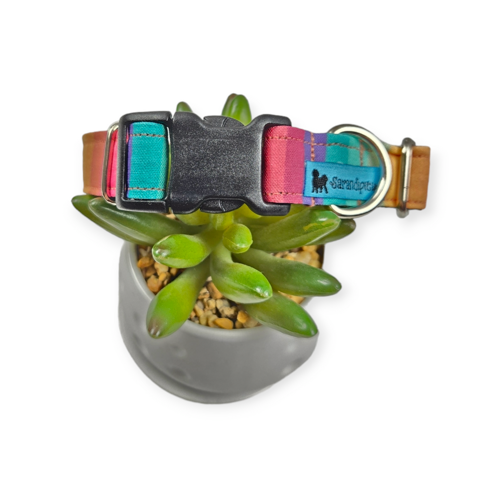 Retro Rainbow Stripes Dog Collar (Medium)
