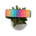 Retro Rainbow Stripes Dog collar (Large)