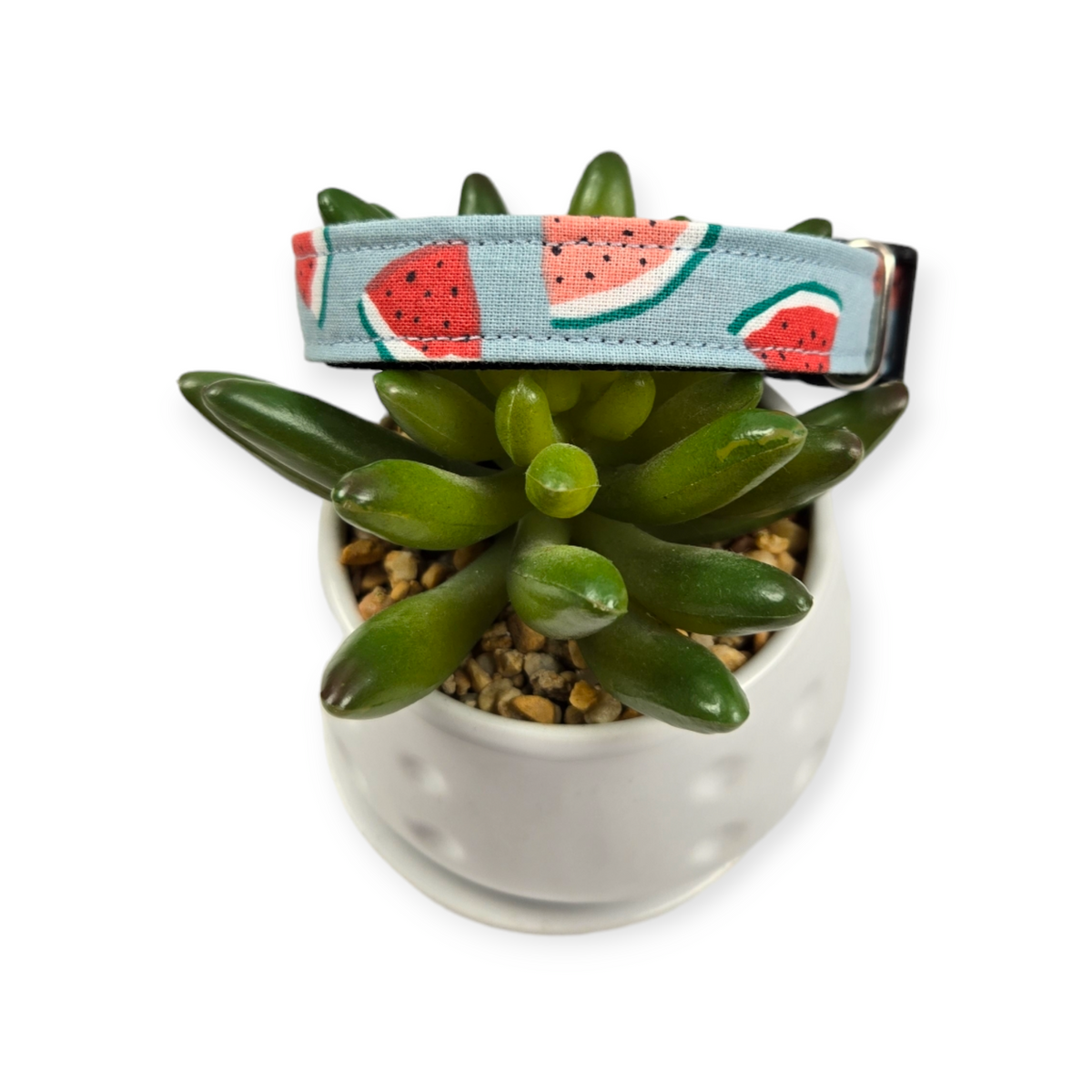 Watermelon on Light Blue Dog collar (Small)