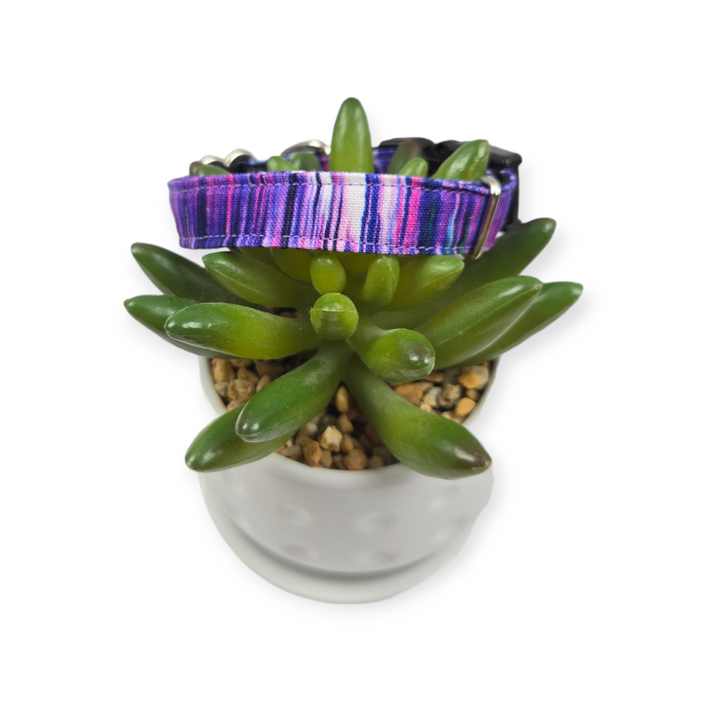 Watercolor Streaks in Pink & Purple Dog Collar (XX-Small)
