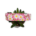 Packed Daisies on Pink Dog Collar (Large)