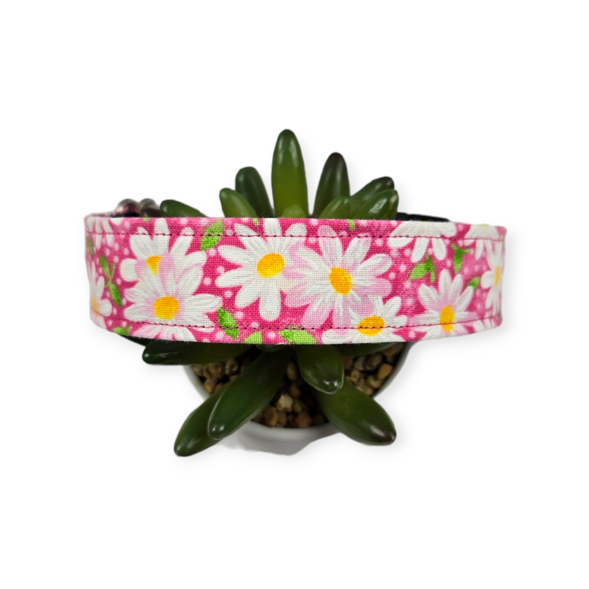 Packed Daisies on Pink Dog Collar (Large)