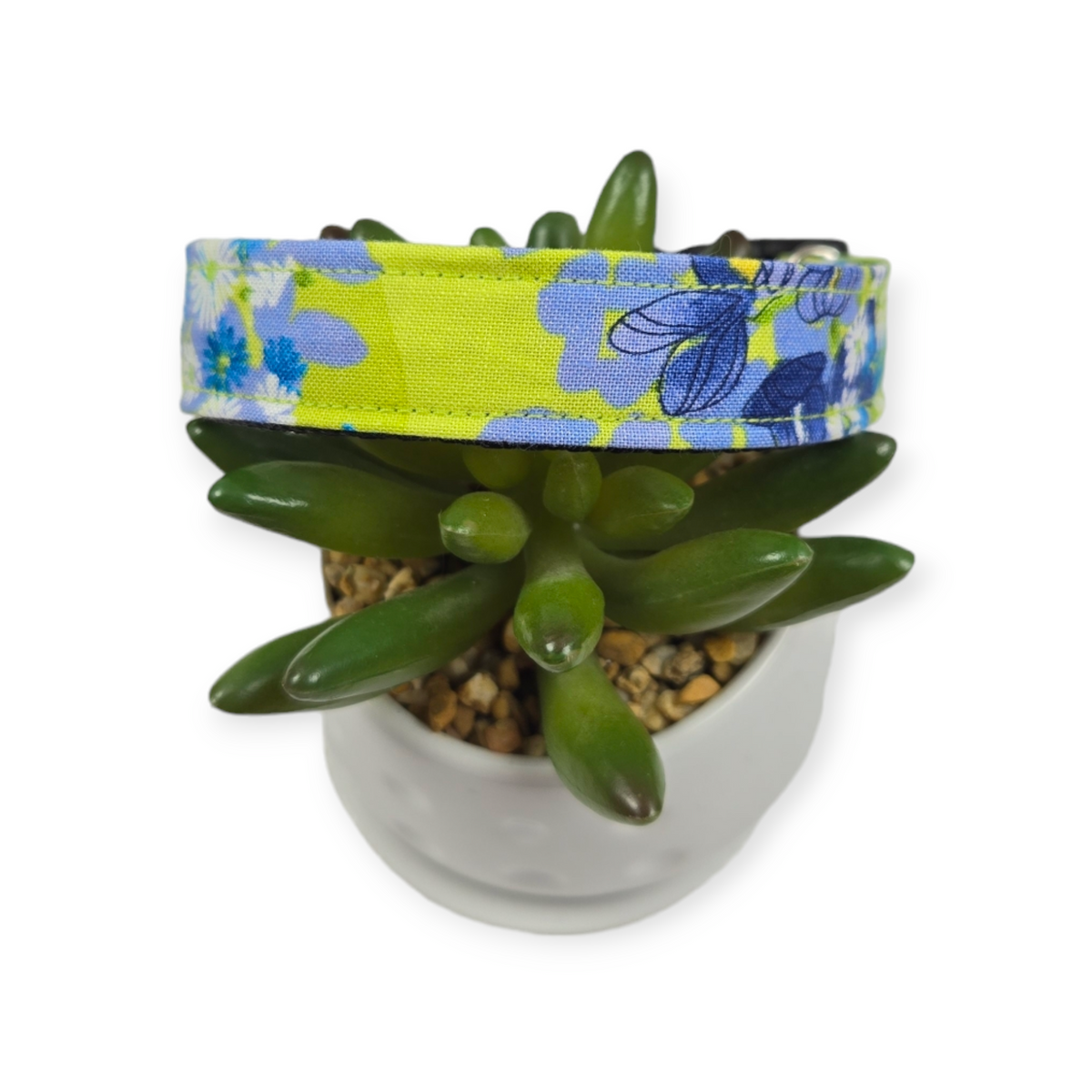 Wild Blossoms Dog collar (Medium)