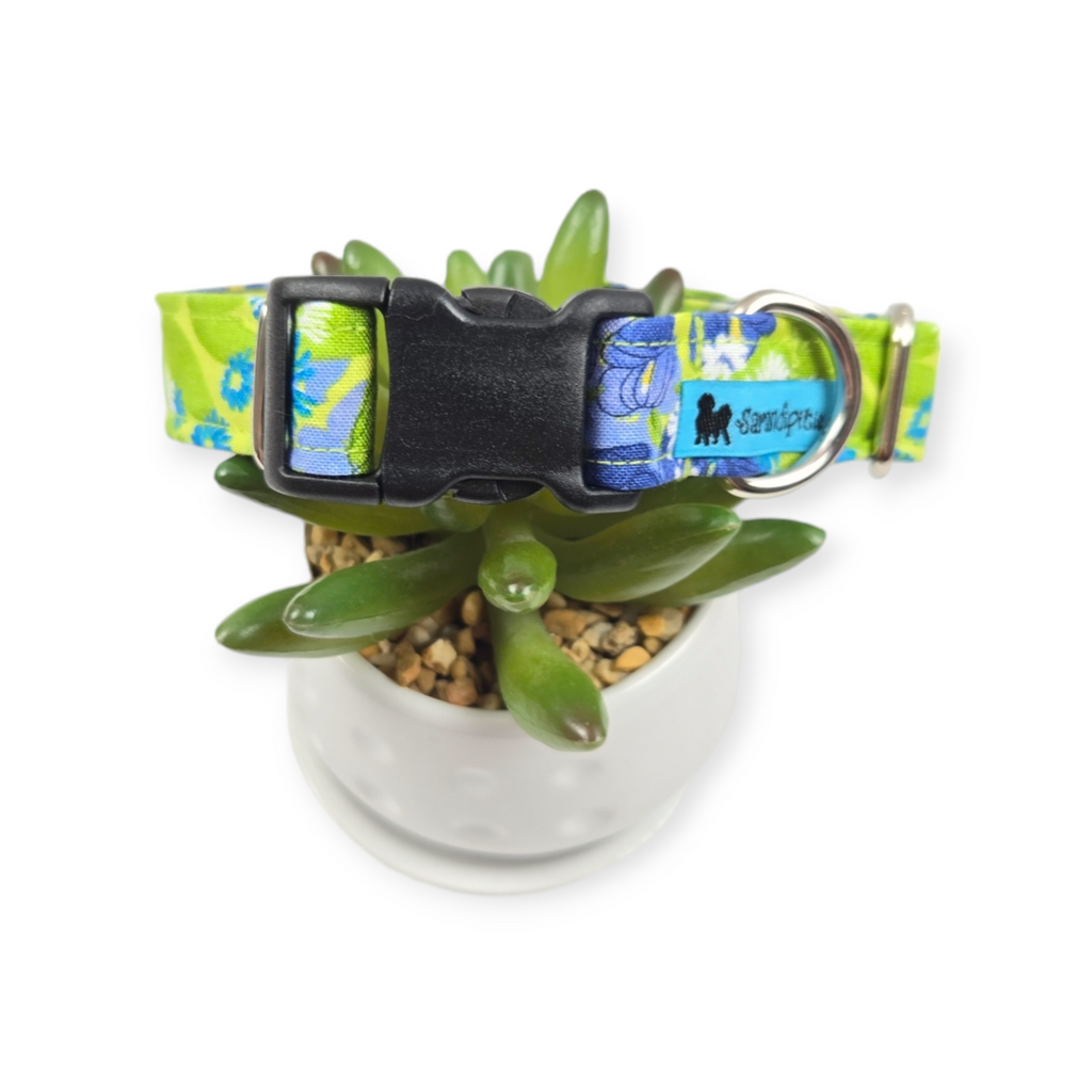 Wild Blossoms Dog collar (Medium)