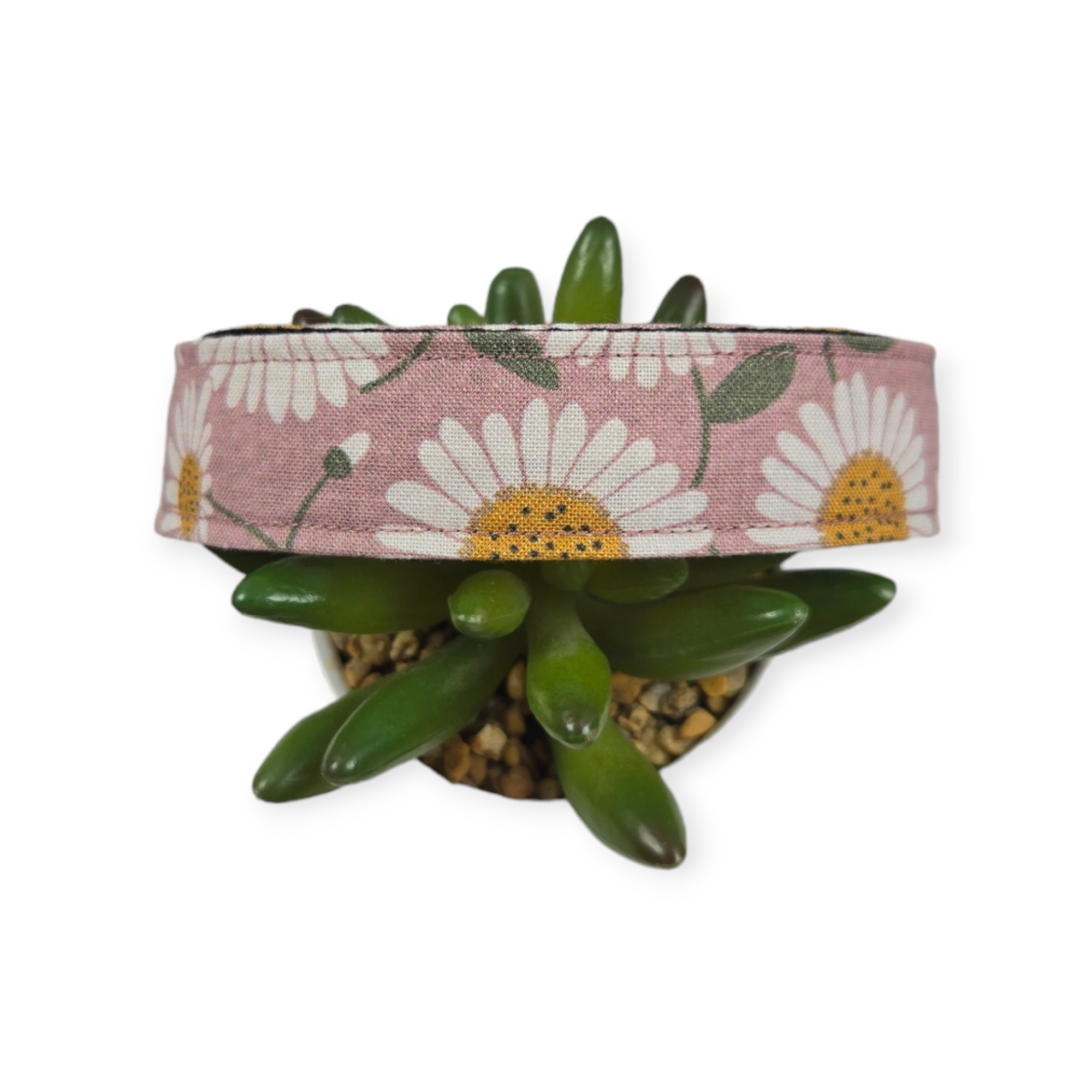 Dusty Mauve Daisies Dog Collar (Large)