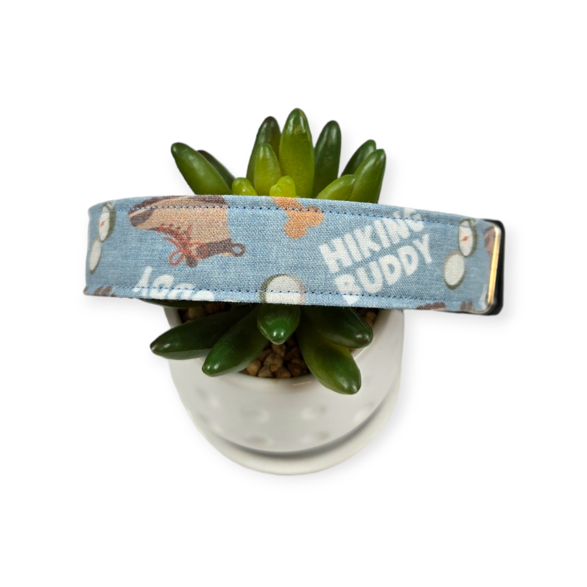 Hiking Buddy Dog Collar (Large)