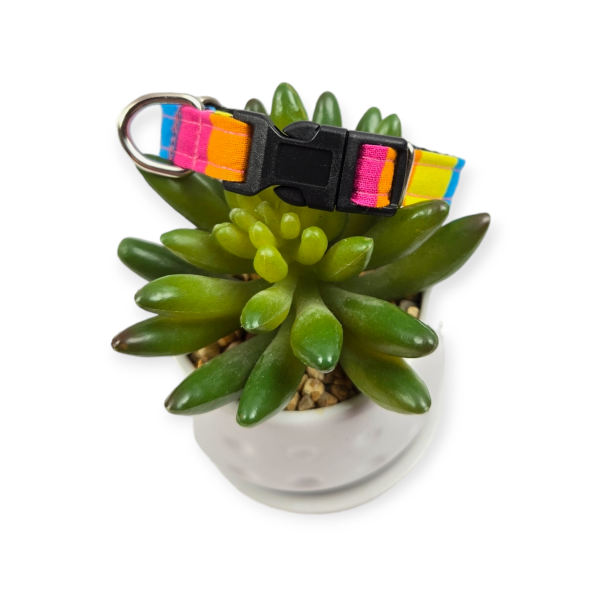 Summer Stripes Dog Collar (XX-Small)