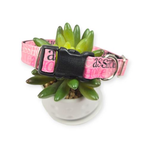 A$$hole on Pink Dog Collar (Medium)
