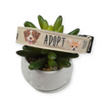 Adopt Don't Shop Dog Collar (Medium)