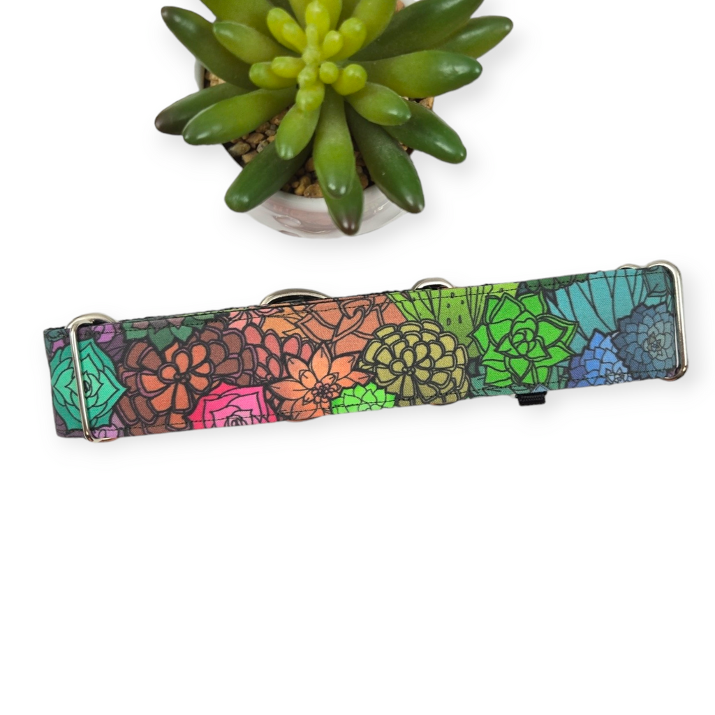 Rainbow Succulents Martingale Dog Collar (Large, 1.5" wide)