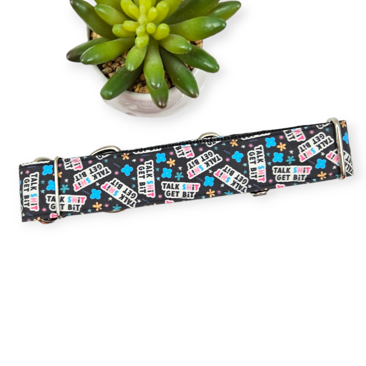 Talk Shit Get Bit Martingale Dog Collar (Large, 1.5" wide)