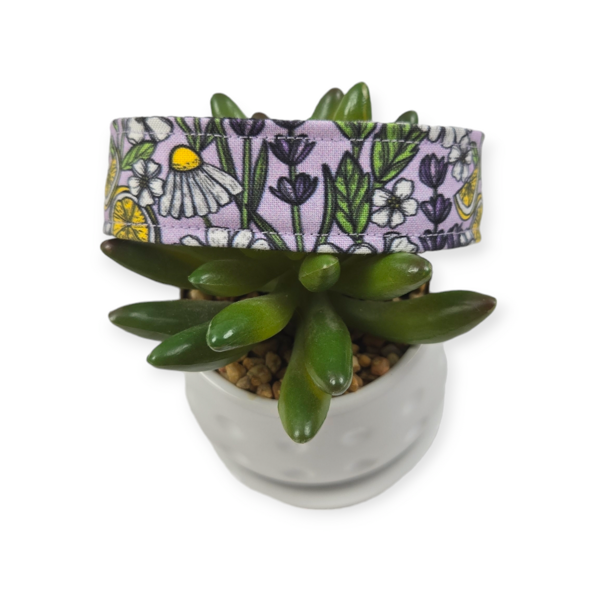 Aromatic Garden Dog Collar (Medium, 1" wide)