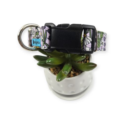Aromatic Garden Dog Collar (Medium, 1" wide)