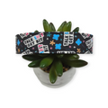 Talk Shit Get Bit Dog Collar (Large)