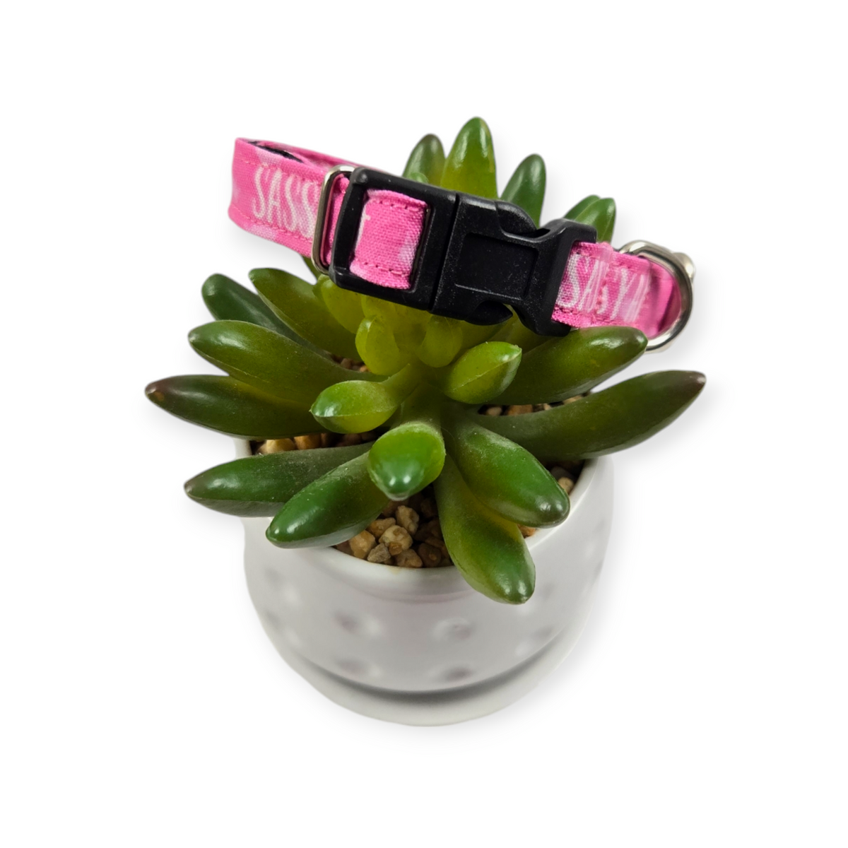 Sassy AF Dog collar (X-Small)