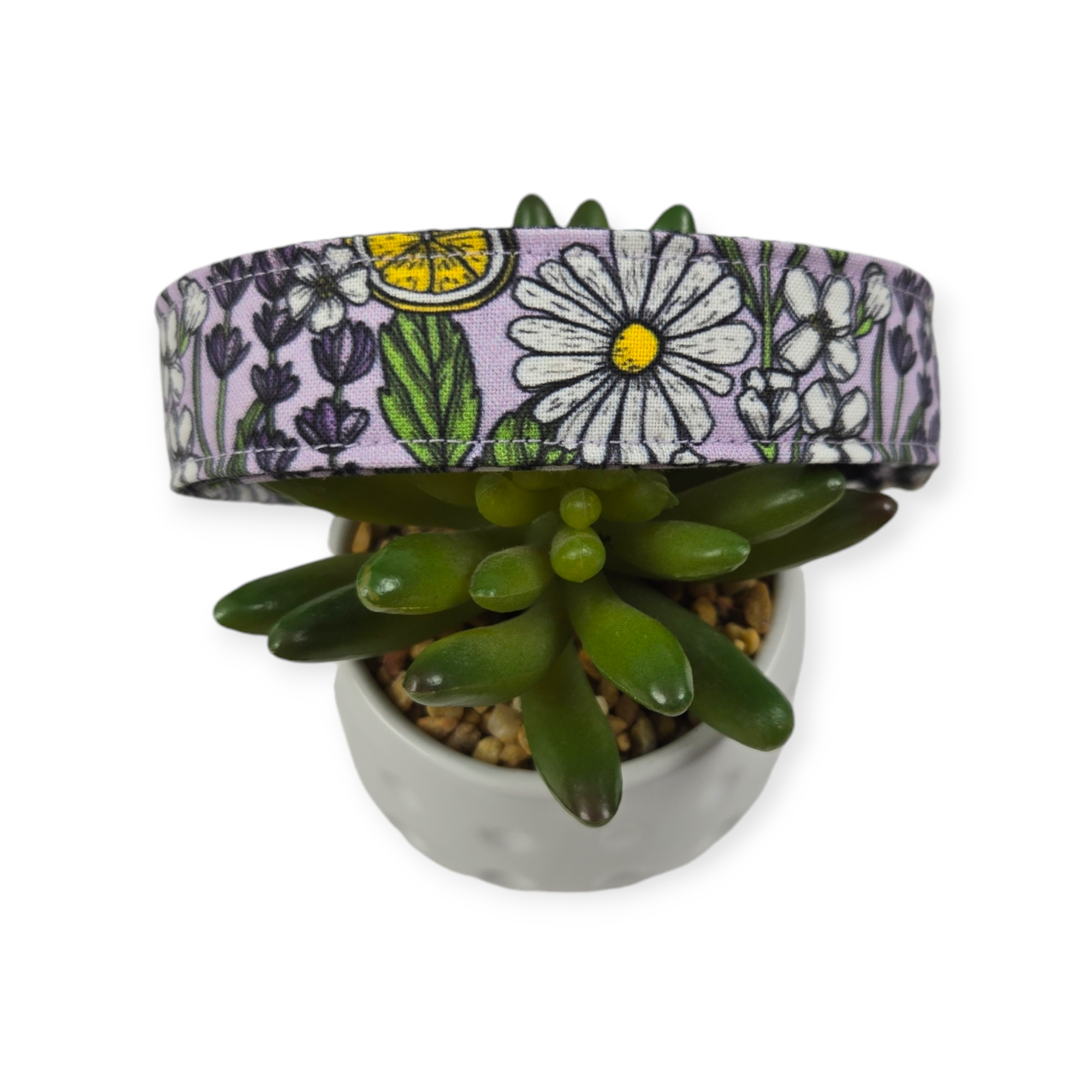 Aromatic Garden Dog Collar (Large)