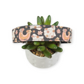 Boho Floral Ghosts Mid Grey Dog Collar (Large)