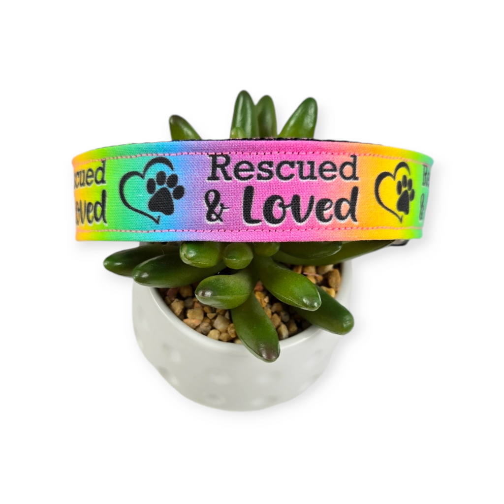 Rescued & Loved Dog Collar (Medium, 1" wide)