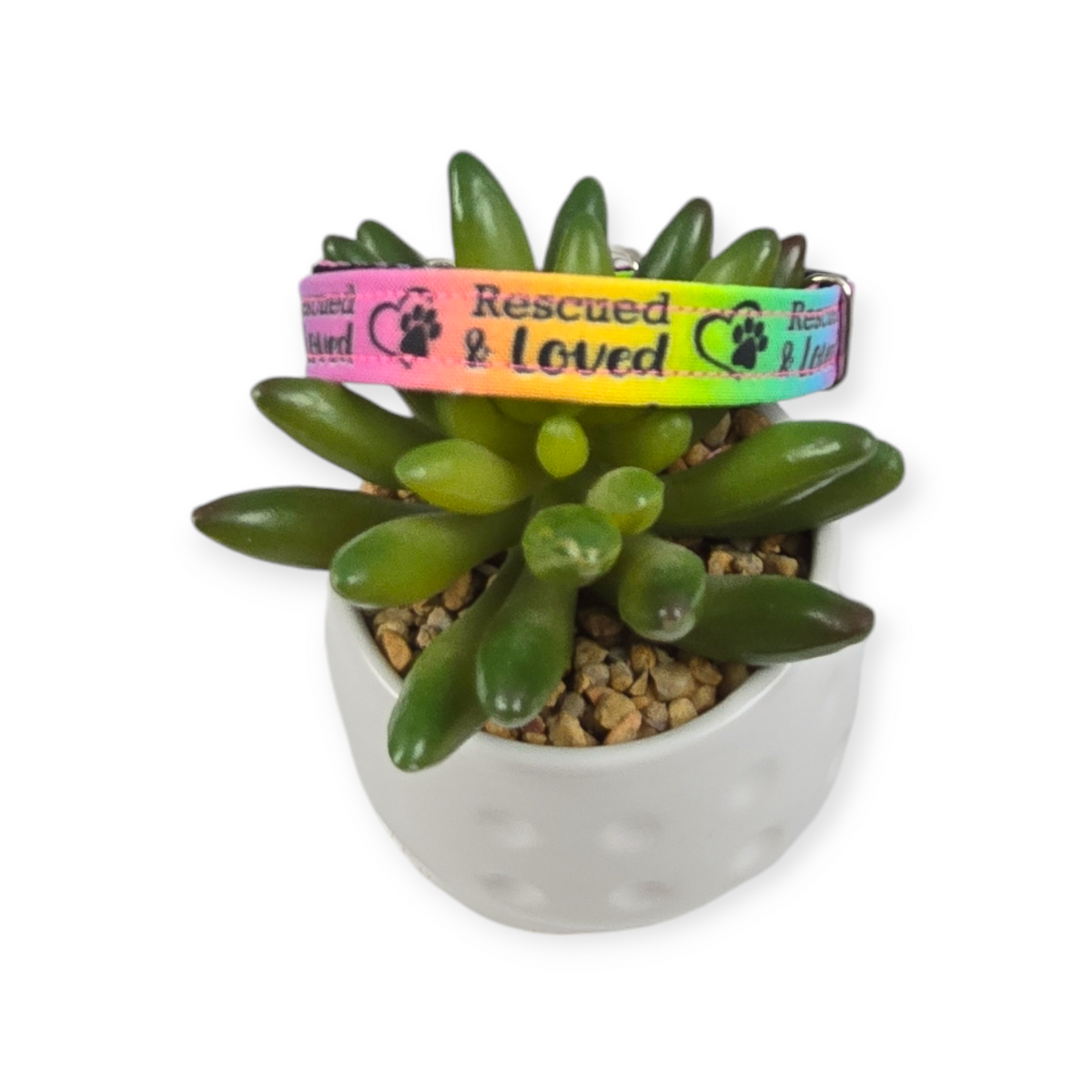Rescued & Loved Kitty Collar (X-Small)