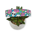 Skulls and Roses Pink on Teal Dog Collar (Large)