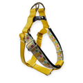 Pineapples Step-In Harness (Medium)