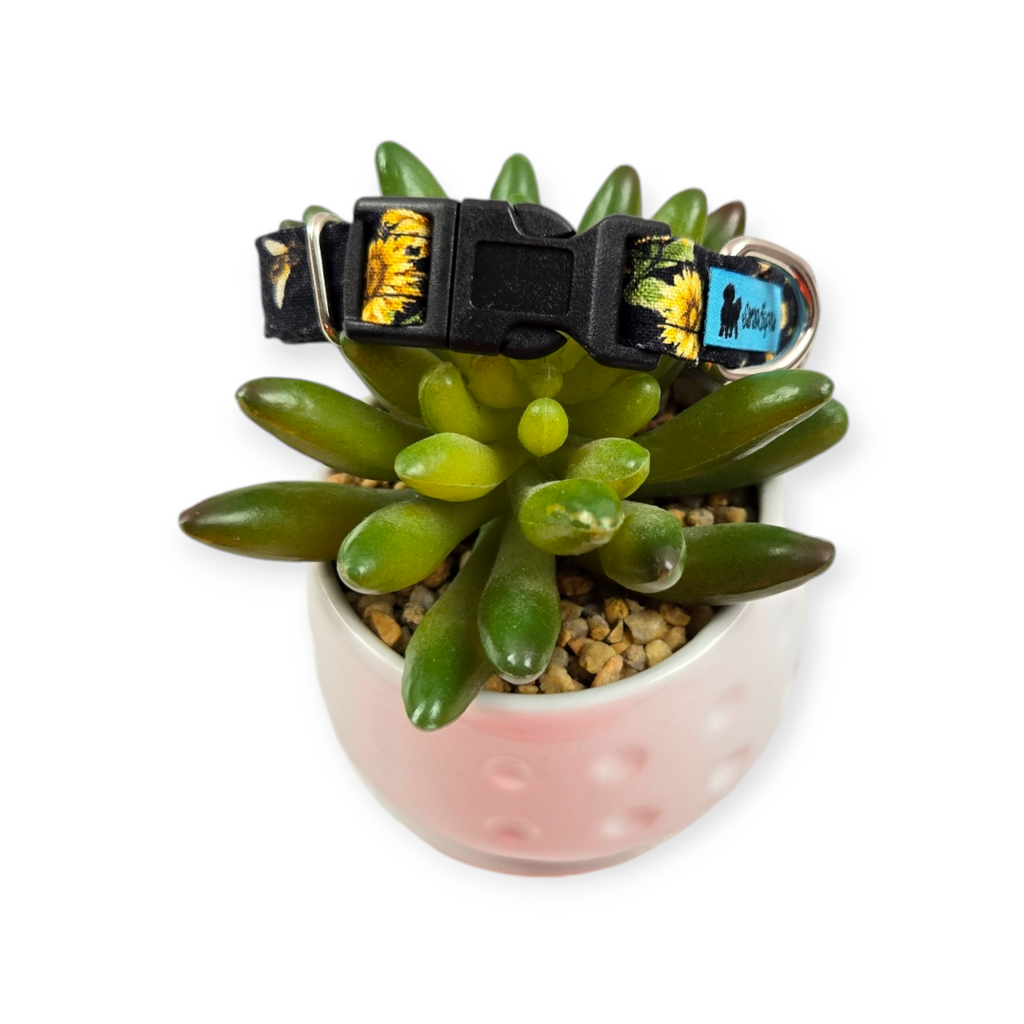 Sunflowers & Bees Dog Collar (XX-Small)