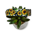 Dairy Fields Dog Collar (Medium, 1" wide)